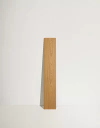 01_MG-2_ZW-M008_1676