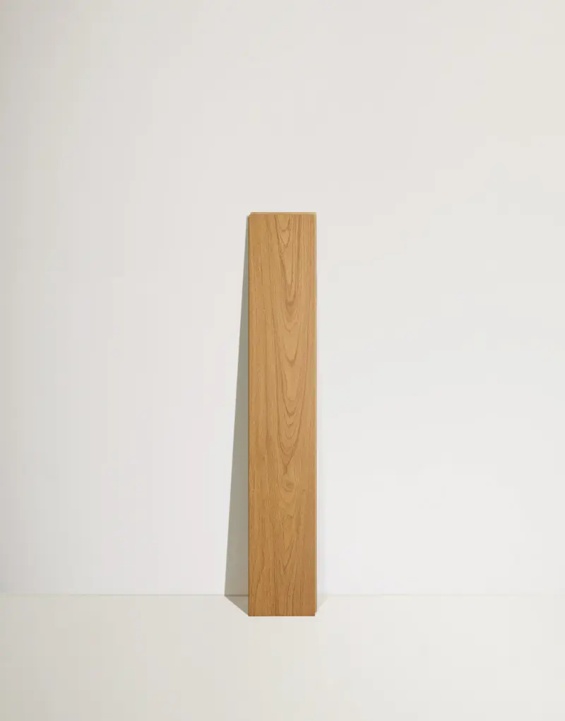 01_MG-2_ZW-M008_1676