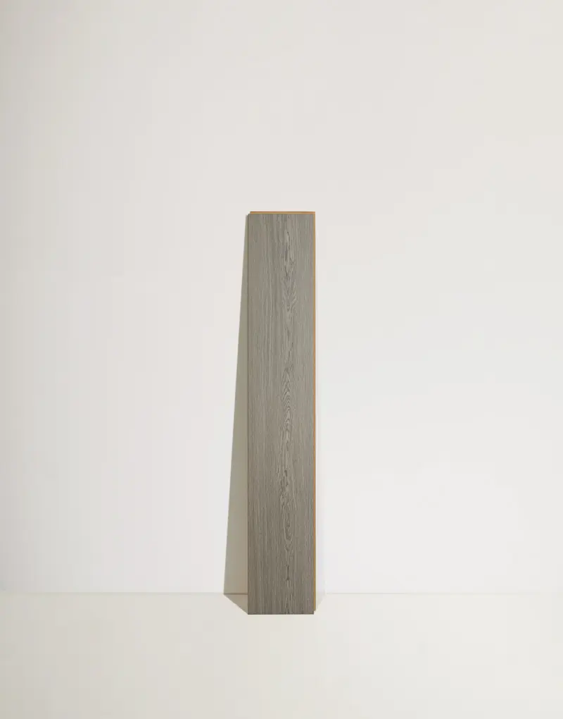 01_MG-5_ZW-M004_1682