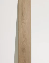 02_MG-1_ZW-M007_1671