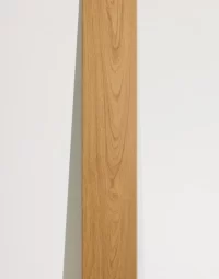 02_MG-2_ZW-M008_1676