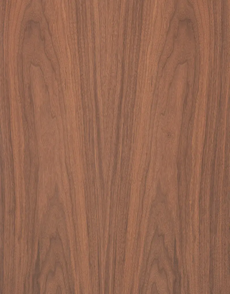 MB-CV-016-Willamette