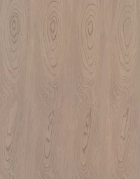 MB-CV-033-Sundarbans