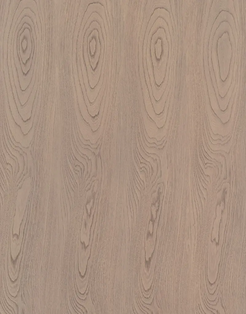 MB-CV-033-Sundarbans