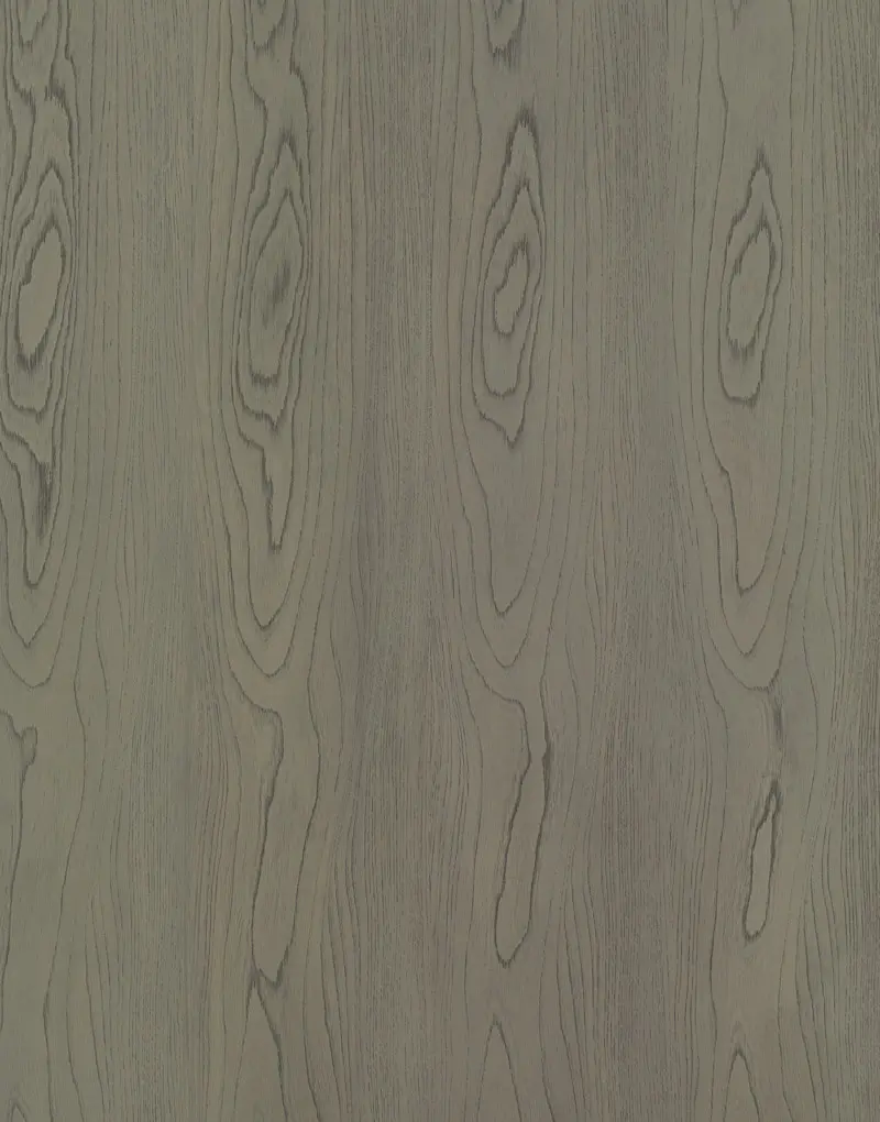 MB-CV-035-Bach-ma